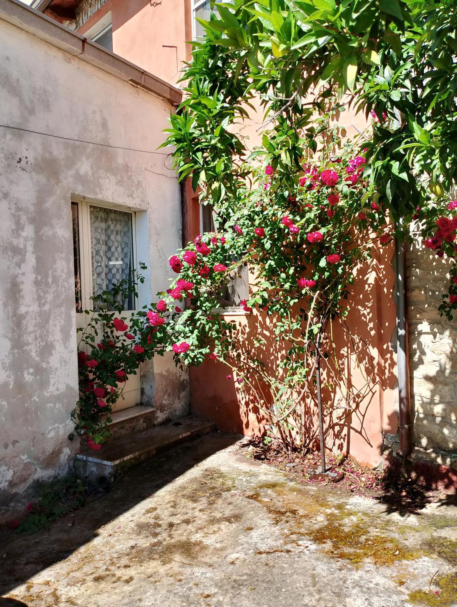 La Corte Degli Aranci *
